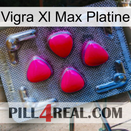 Vigra Xl Max Platinum 13